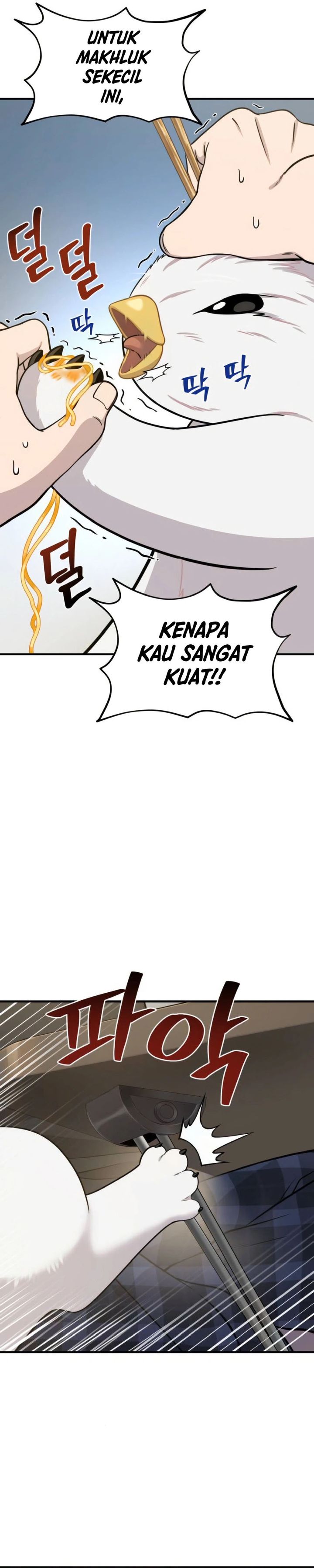Hello, Fluffy Griffin! chapter 4