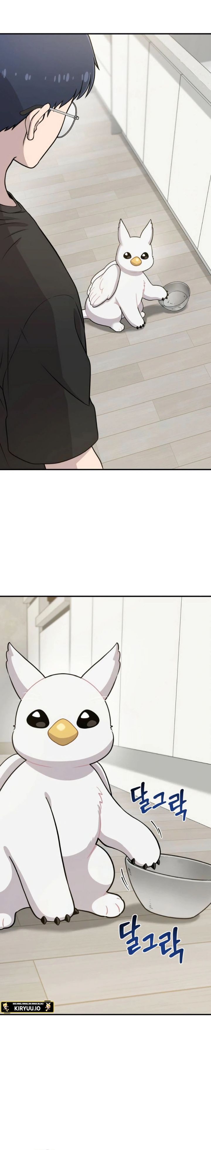 Hello, Fluffy Griffin! chapter 4