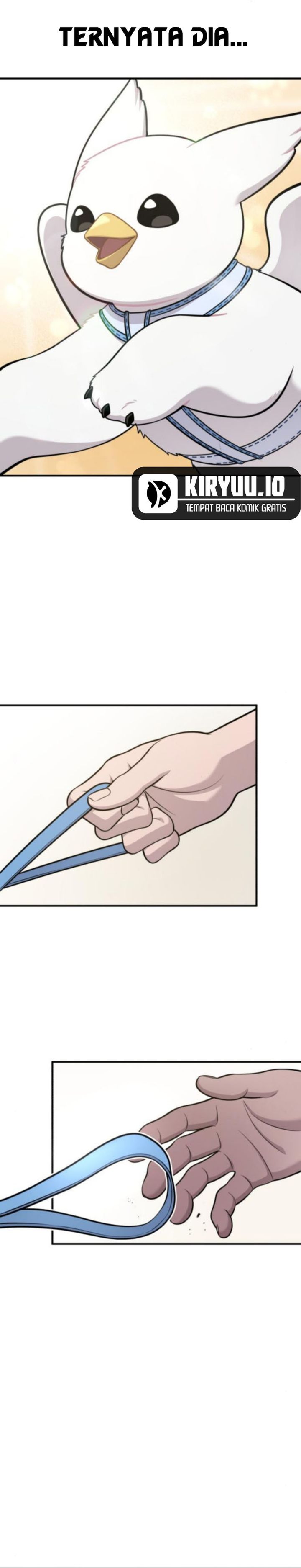 Hello, Fluffy Griffin! chapter 20