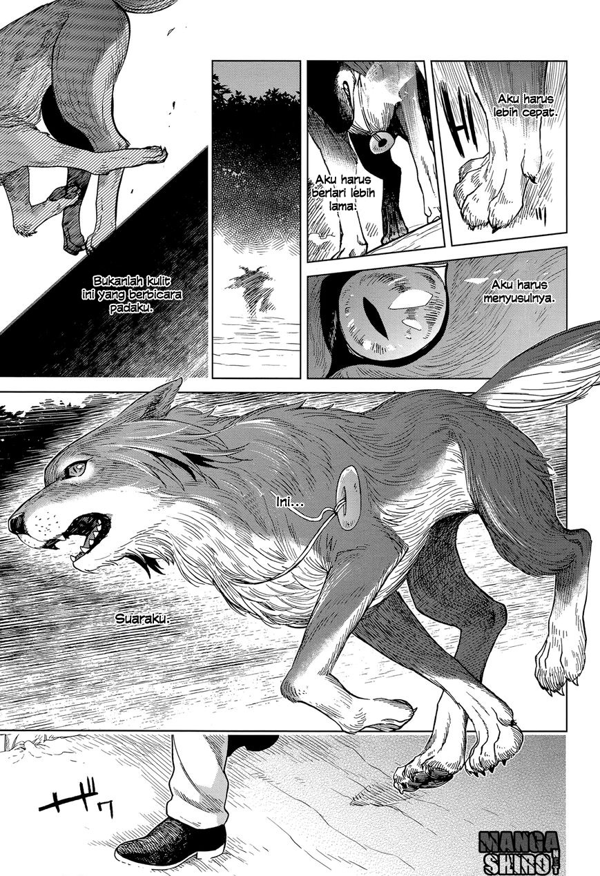 Mahou Tsukai no Yome chapter 31