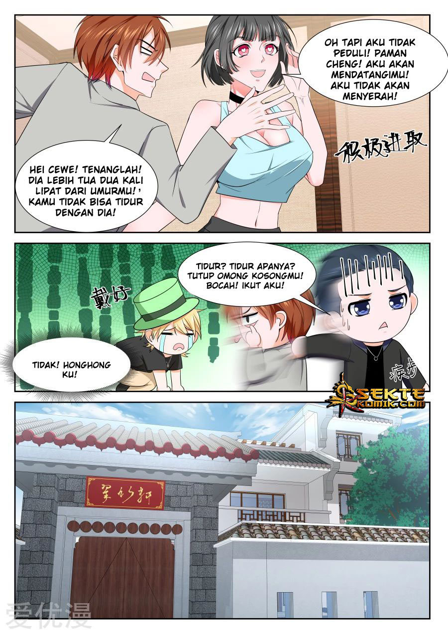 Metropolitan System chapter 239