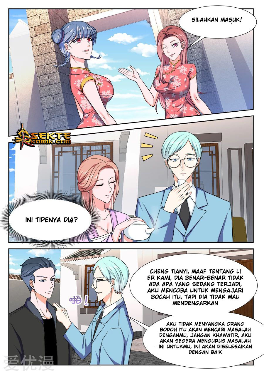 Metropolitan System chapter 239