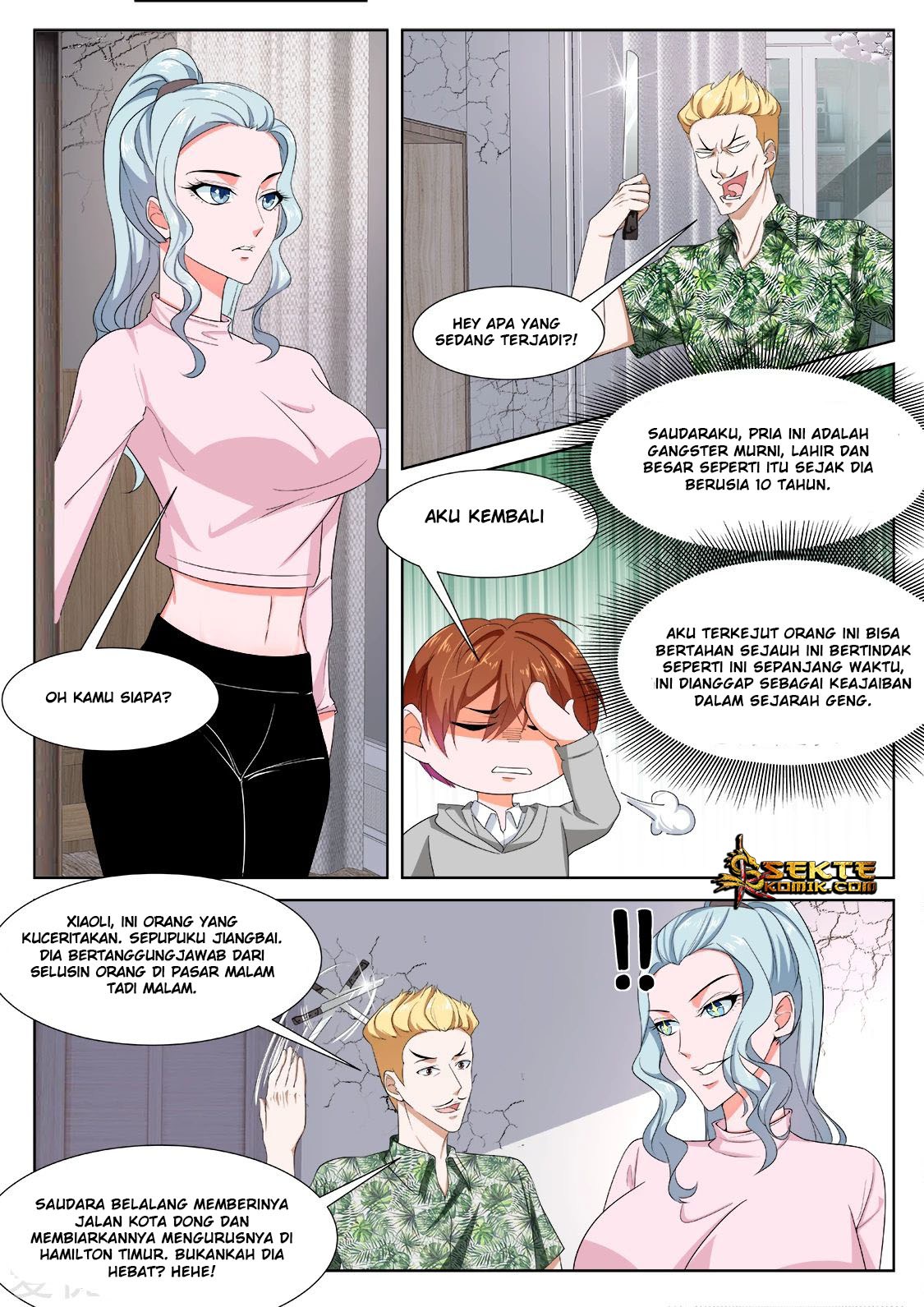 Metropolitan System chapter 273