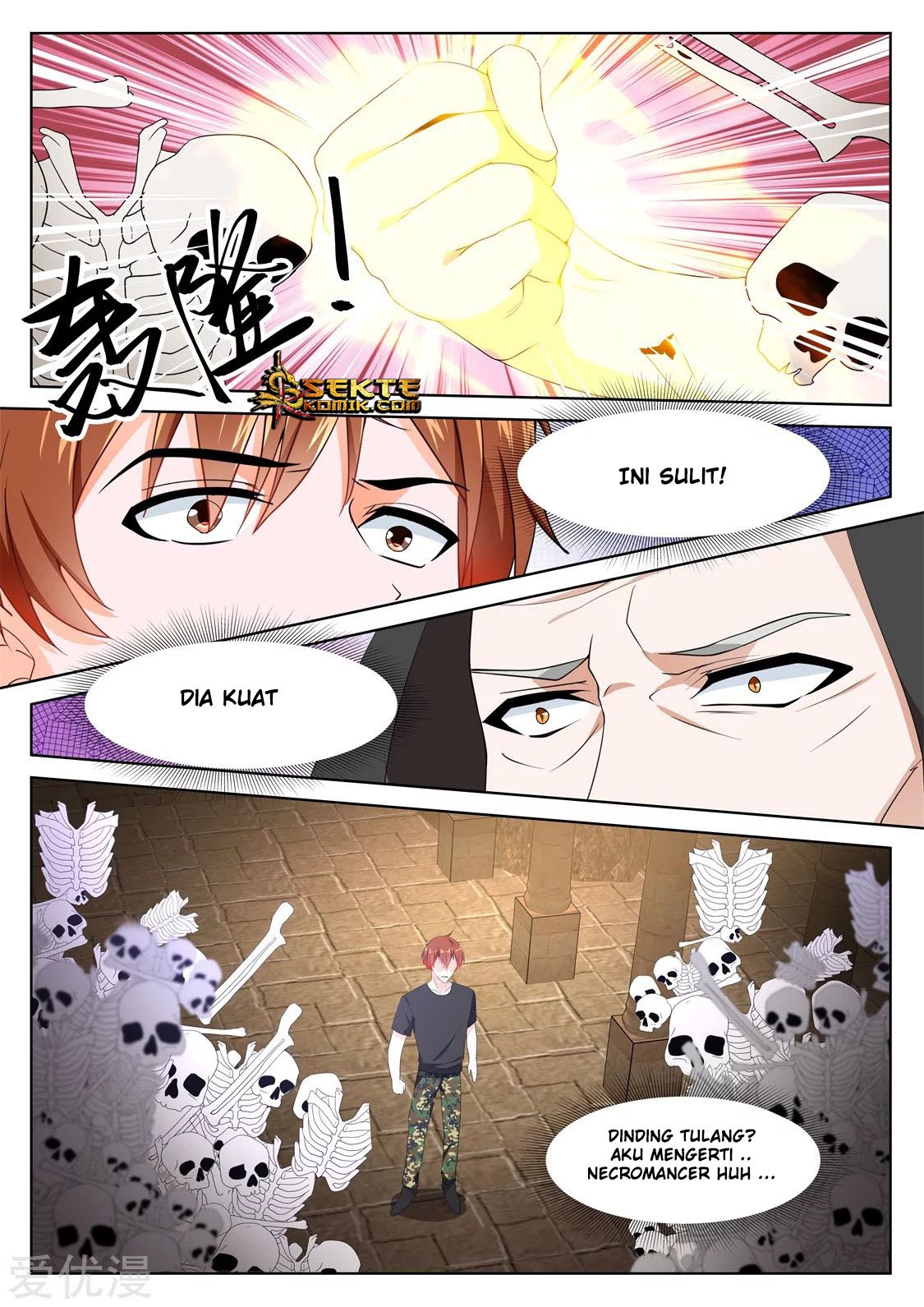 Metropolitan System chapter 307