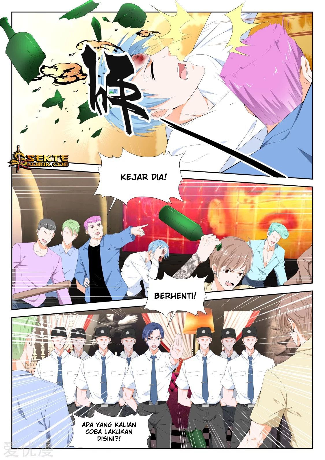Metropolitan System chapter 309