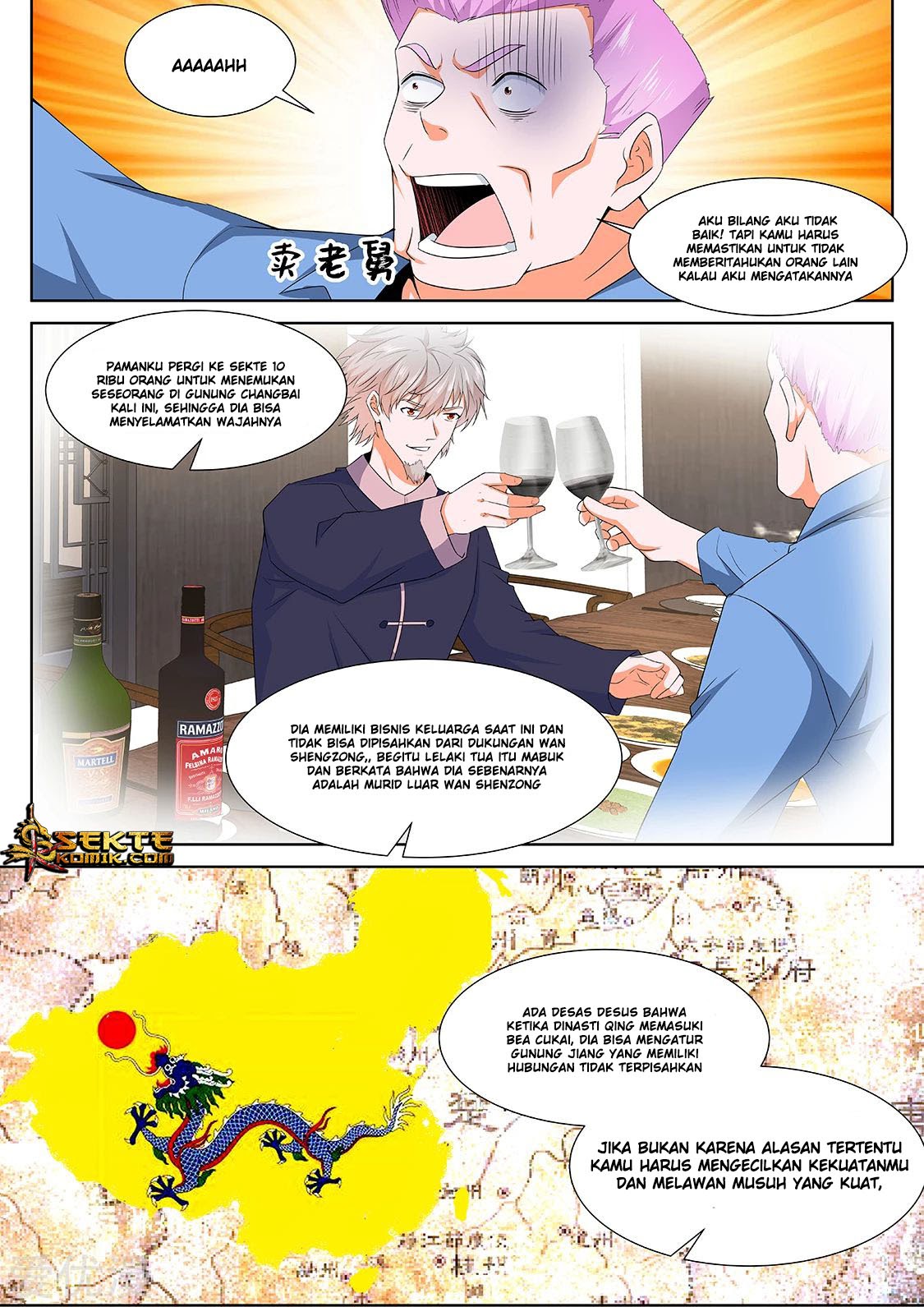 Metropolitan System chapter 309