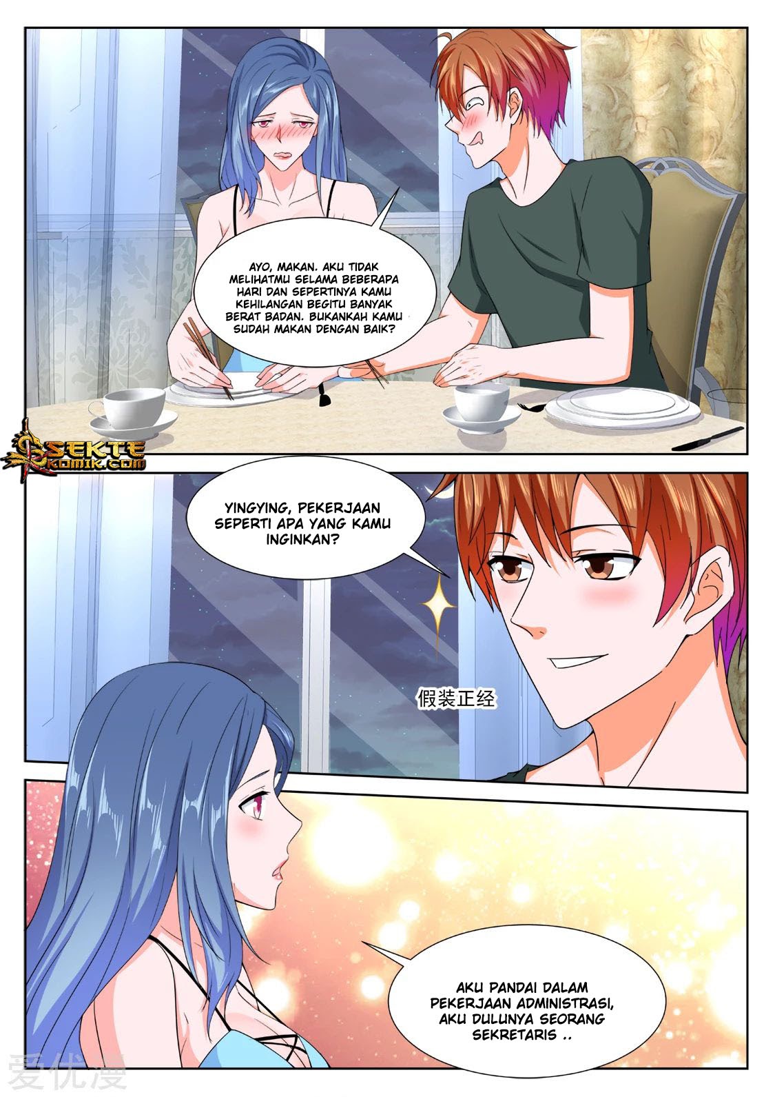 Metropolitan System chapter 309