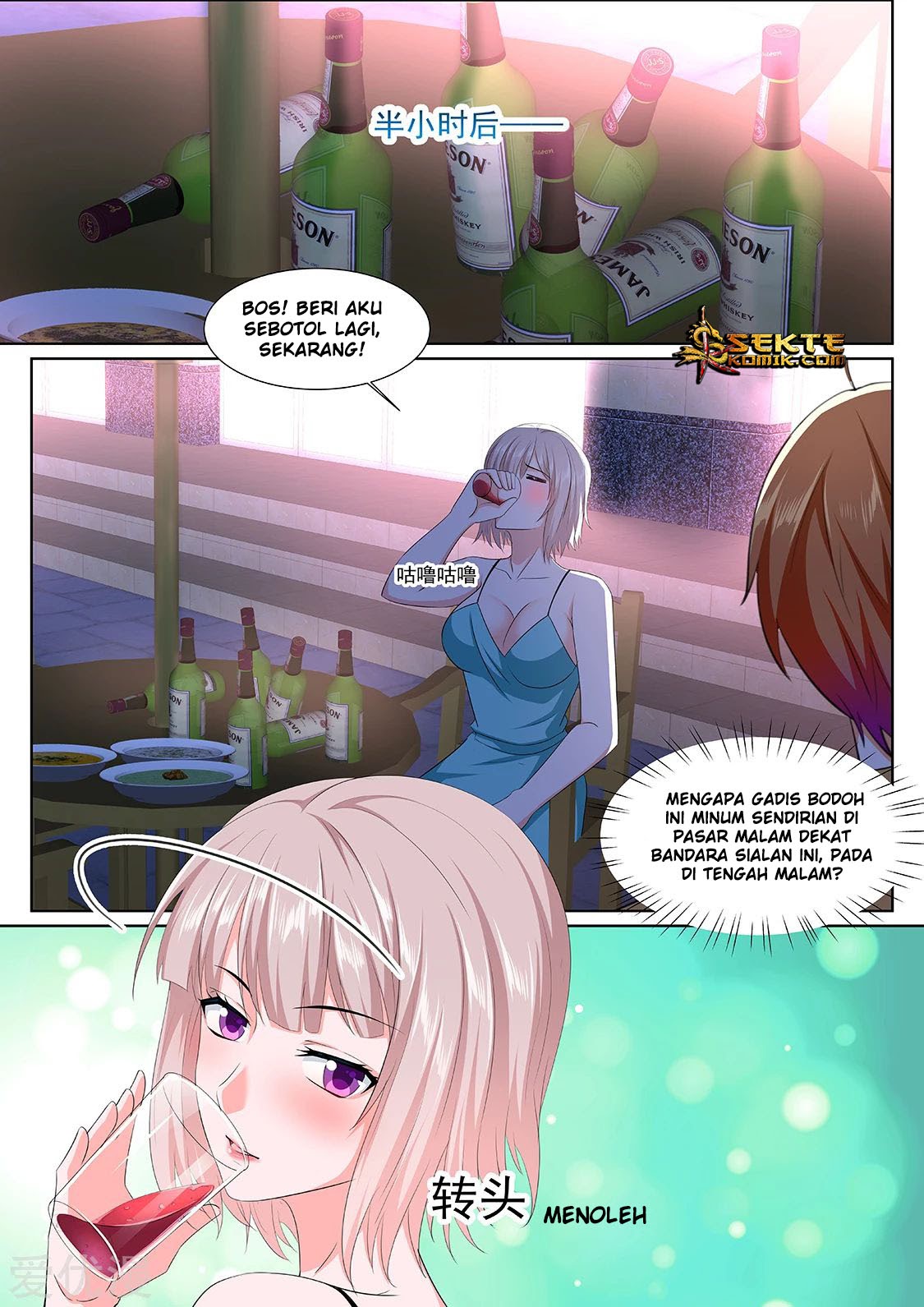 Metropolitan System chapter 311