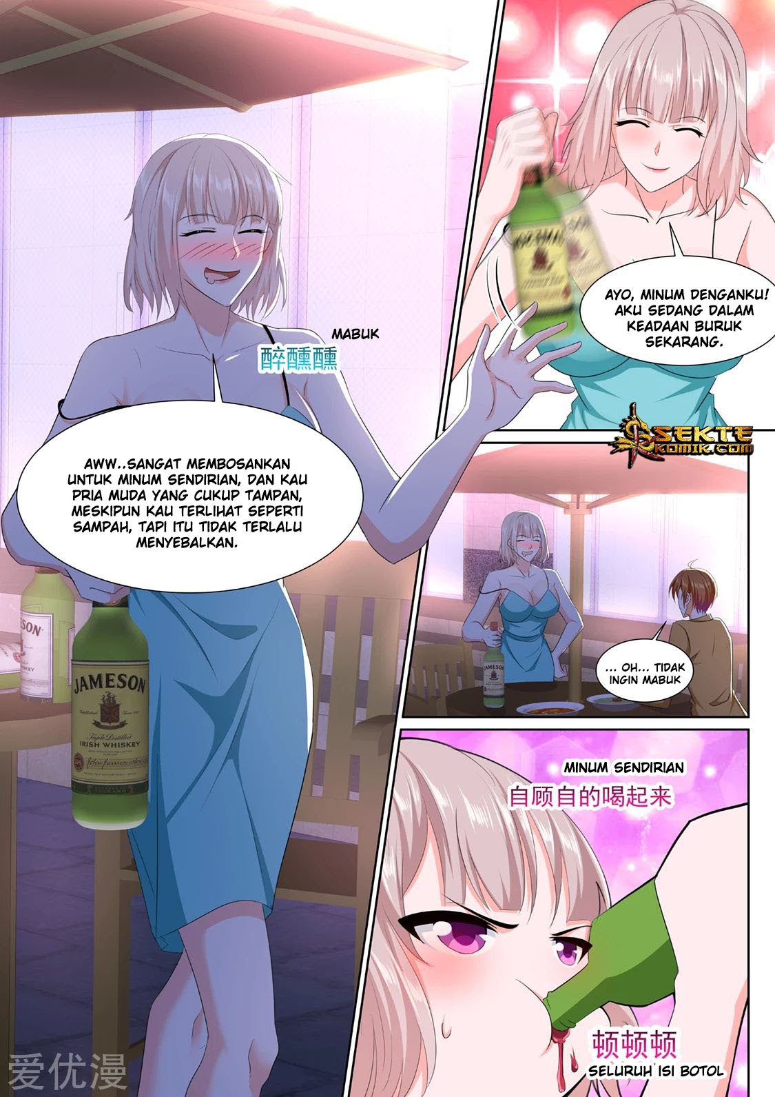 Metropolitan System chapter 311