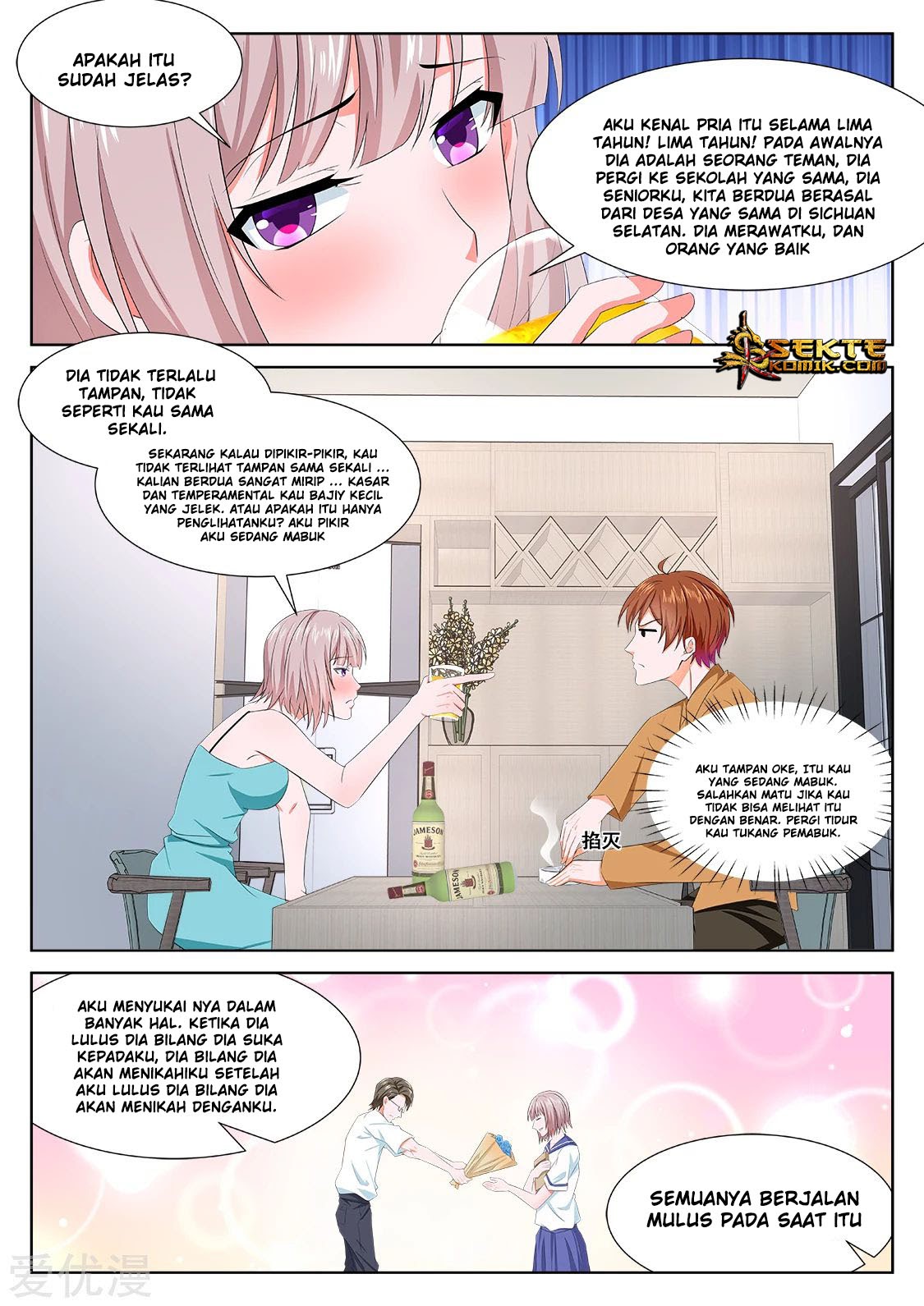 Metropolitan System chapter 311