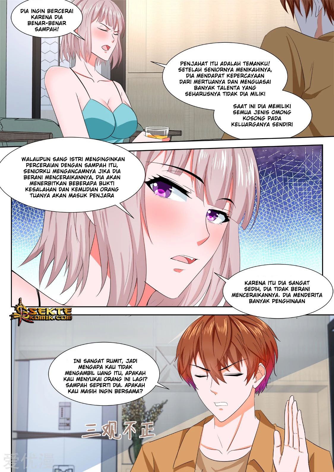 Metropolitan System chapter 311