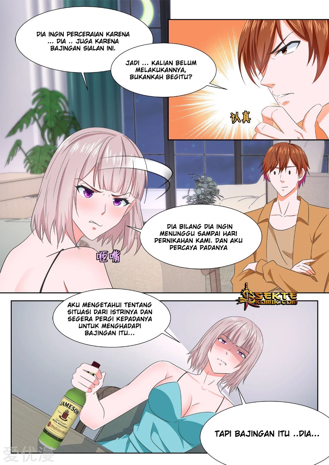 Metropolitan System chapter 311