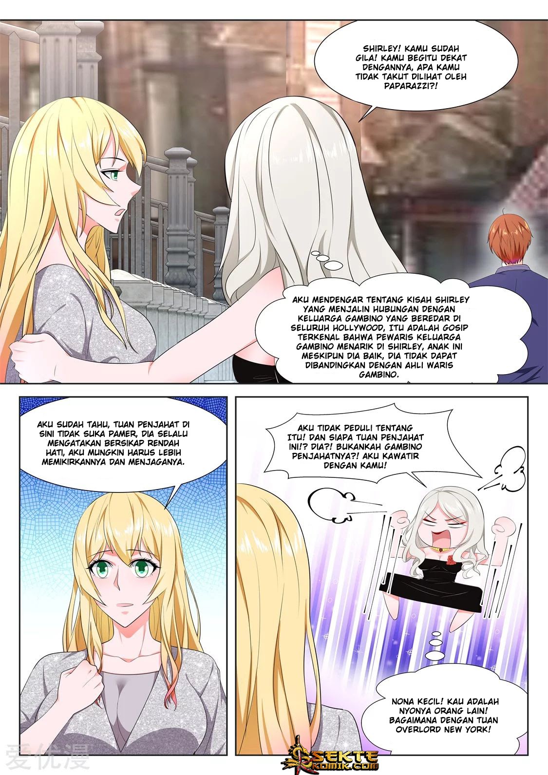Metropolitan System chapter 336