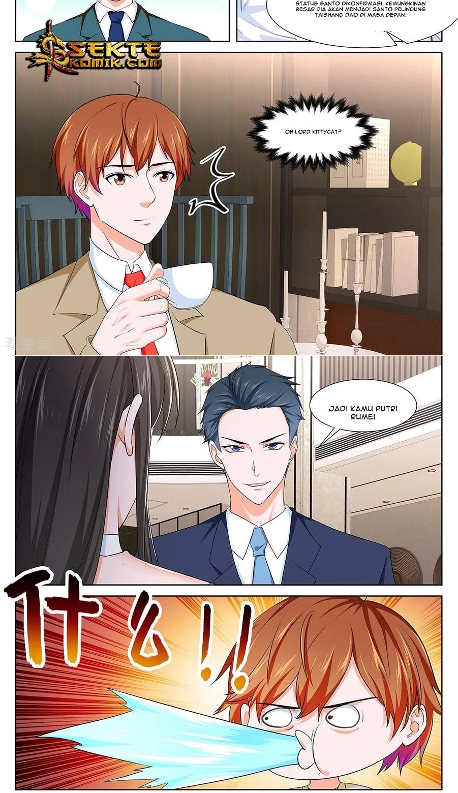 Metropolitan System chapter 355