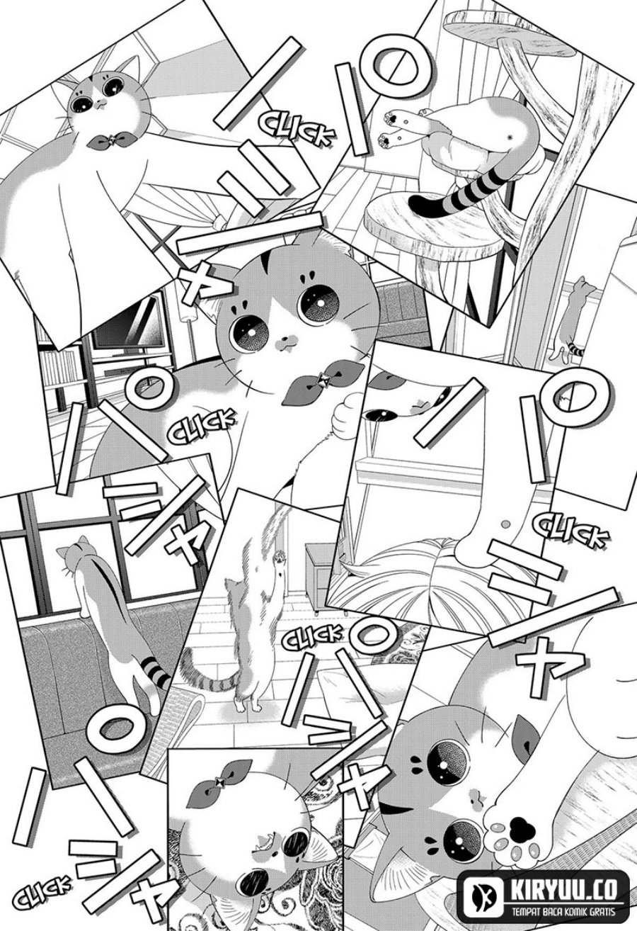 Miyaou Tarou ga Neko wo Kau Nante Chapter 19 Bahasa Indonesia