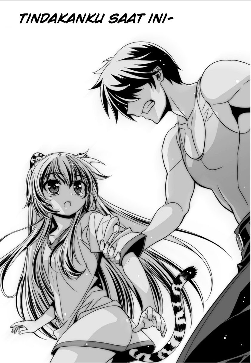 My Love Tiger Chapter 02