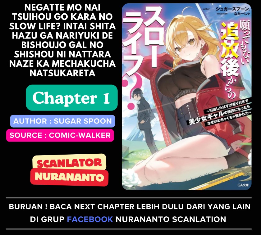Negatte mo Nai Tsuihou Go kara no Slow Life? Intai Shita Hazu ga Nariyuki de Bishoujo Gal no Shishou ni Nattara Naze ka Mechakucha Natsukareta chapter 1