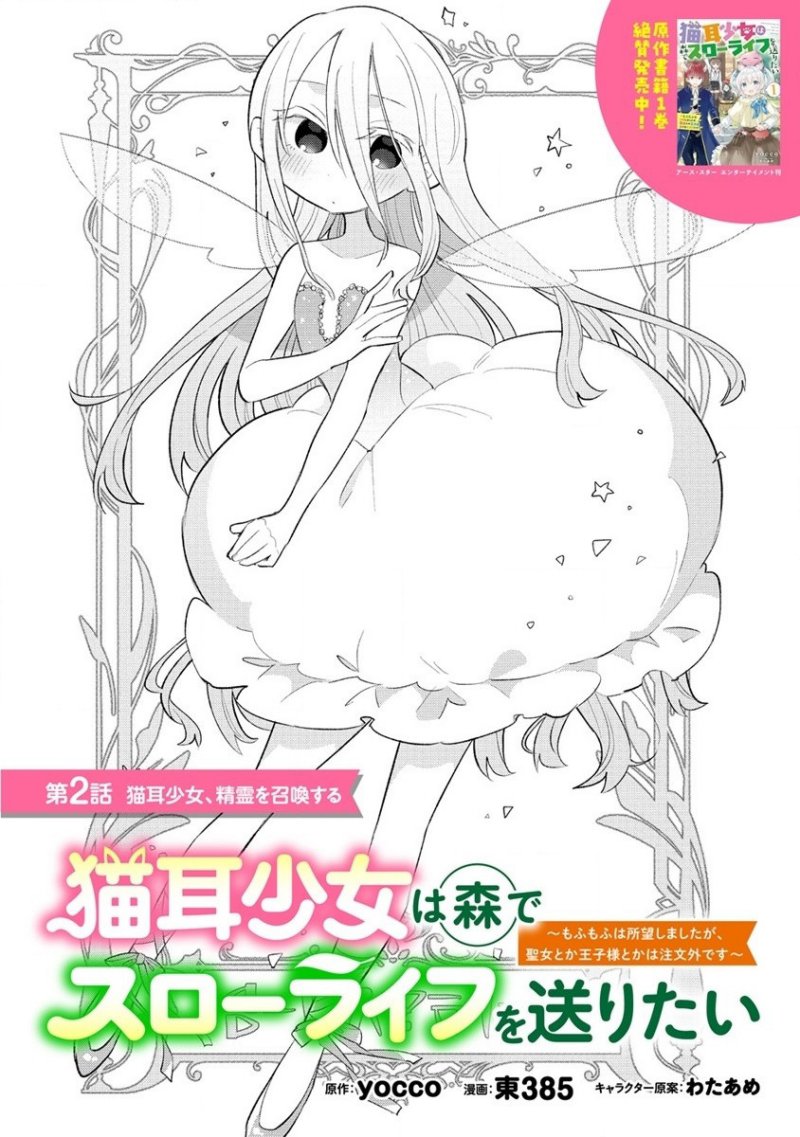 Nekomimi Shoujo wa Mori de Slow Life wo Okuritai: Mofumofu wa Shomou Shimashita ga, Seijo to ka Ouji-sama to ka wa Chuumongai desu chapter 2