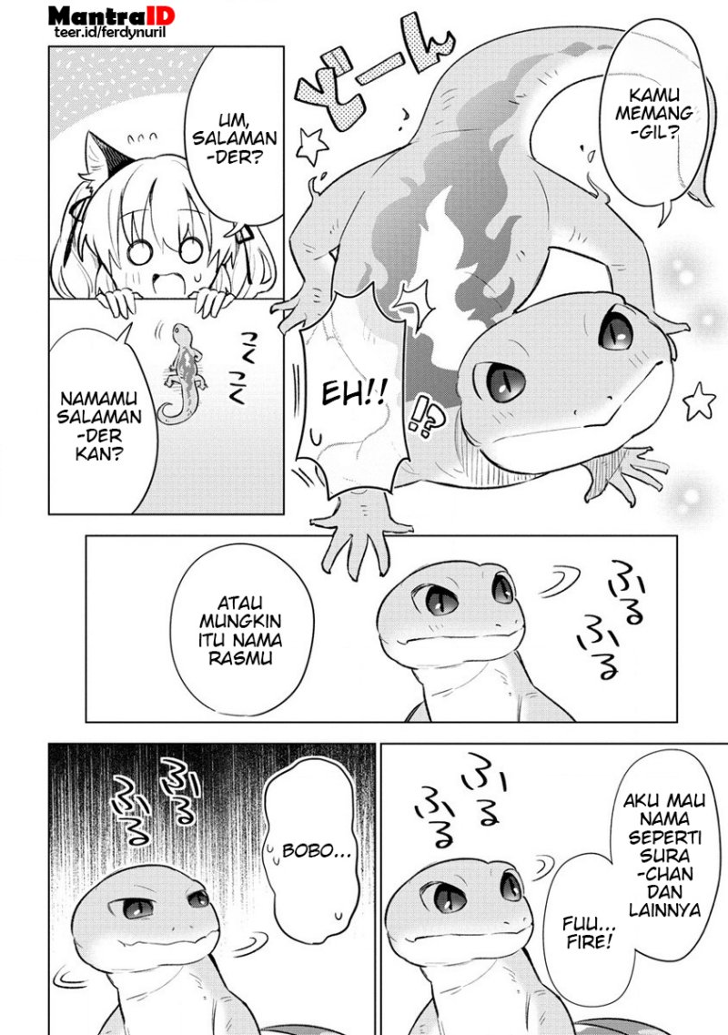 Nekomimi Shoujo wa Mori de Slow Life wo Okuritai: Mofumofu wa Shomou Shimashita ga, Seijo to ka Ouji-sama to ka wa Chuumongai desu chapter 2