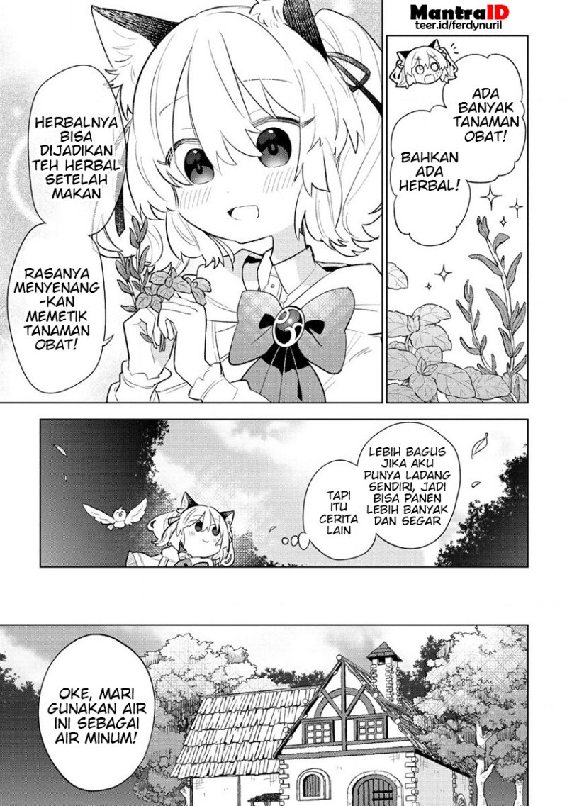 Nekomimi Shoujo wa Mori de Slow Life wo Okuritai: Mofumofu wa Shomou Shimashita ga, Seijo to ka Ouji-sama to ka wa Chuumongai desu chapter 3