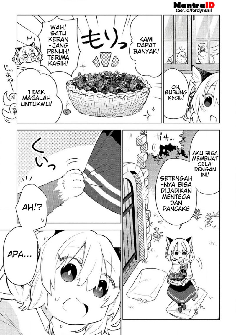 Nekomimi Shoujo wa Mori de Slow Life wo Okuritai: Mofumofu wa Shomou Shimashita ga, Seijo to ka Ouji-sama to ka wa Chuumongai desu chapter 3