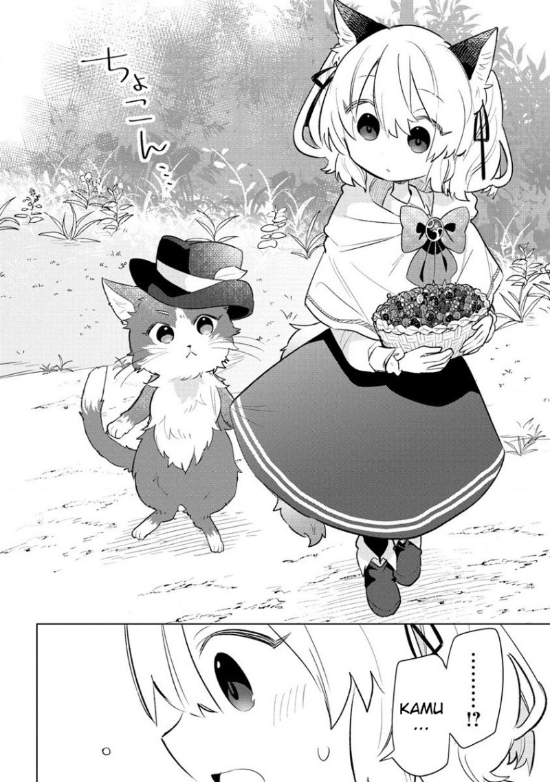 Nekomimi Shoujo wa Mori de Slow Life wo Okuritai: Mofumofu wa Shomou Shimashita ga, Seijo to ka Ouji-sama to ka wa Chuumongai desu chapter 3