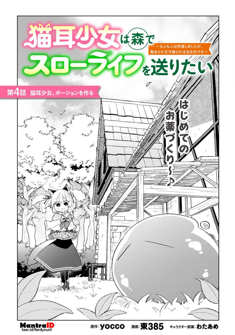 Nekomimi Shoujo wa Mori de Slow Life wo Okuritai: Mofumofu wa Shomou Shimashita ga, Seijo to ka Ouji-sama to ka wa Chuumongai desu chapter 4