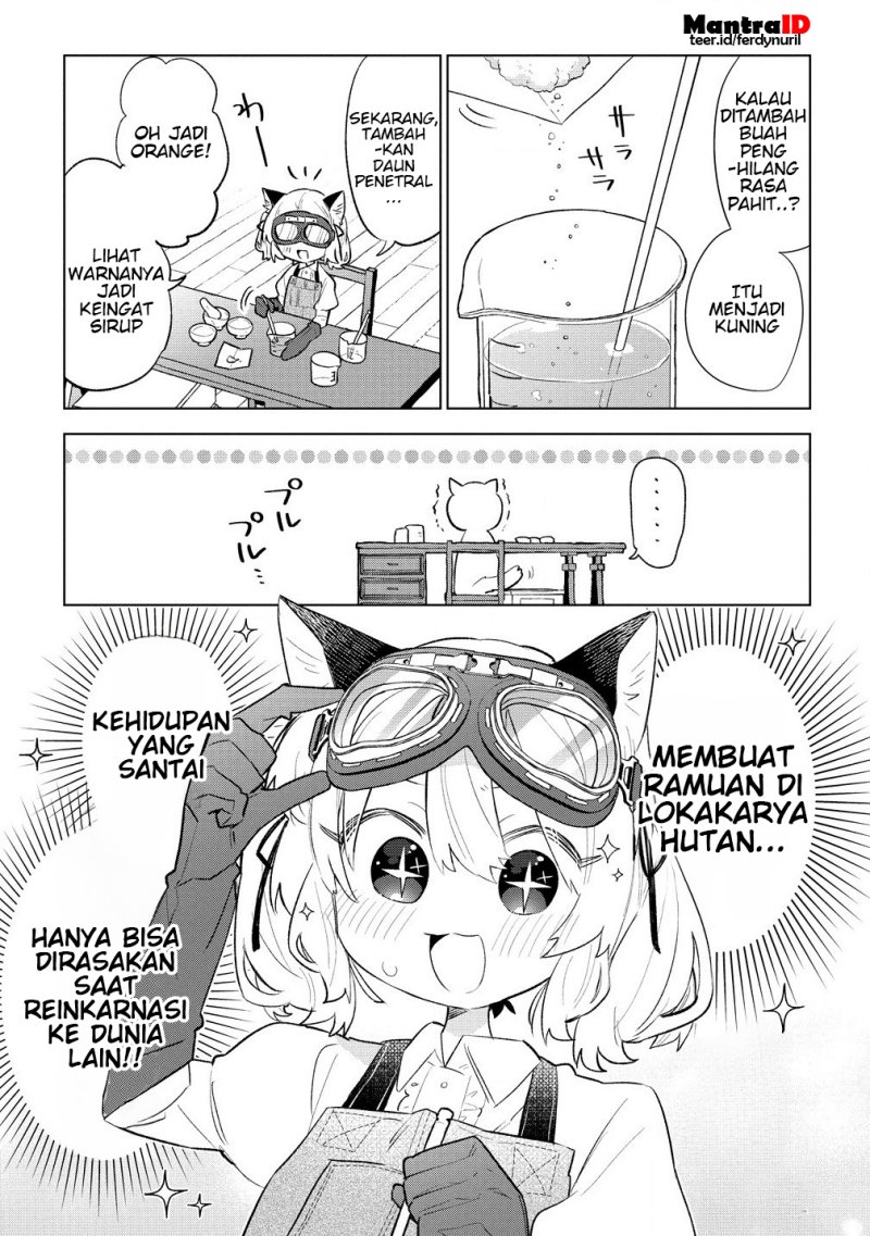 Nekomimi Shoujo wa Mori de Slow Life wo Okuritai: Mofumofu wa Shomou Shimashita ga, Seijo to ka Ouji-sama to ka wa Chuumongai desu chapter 4