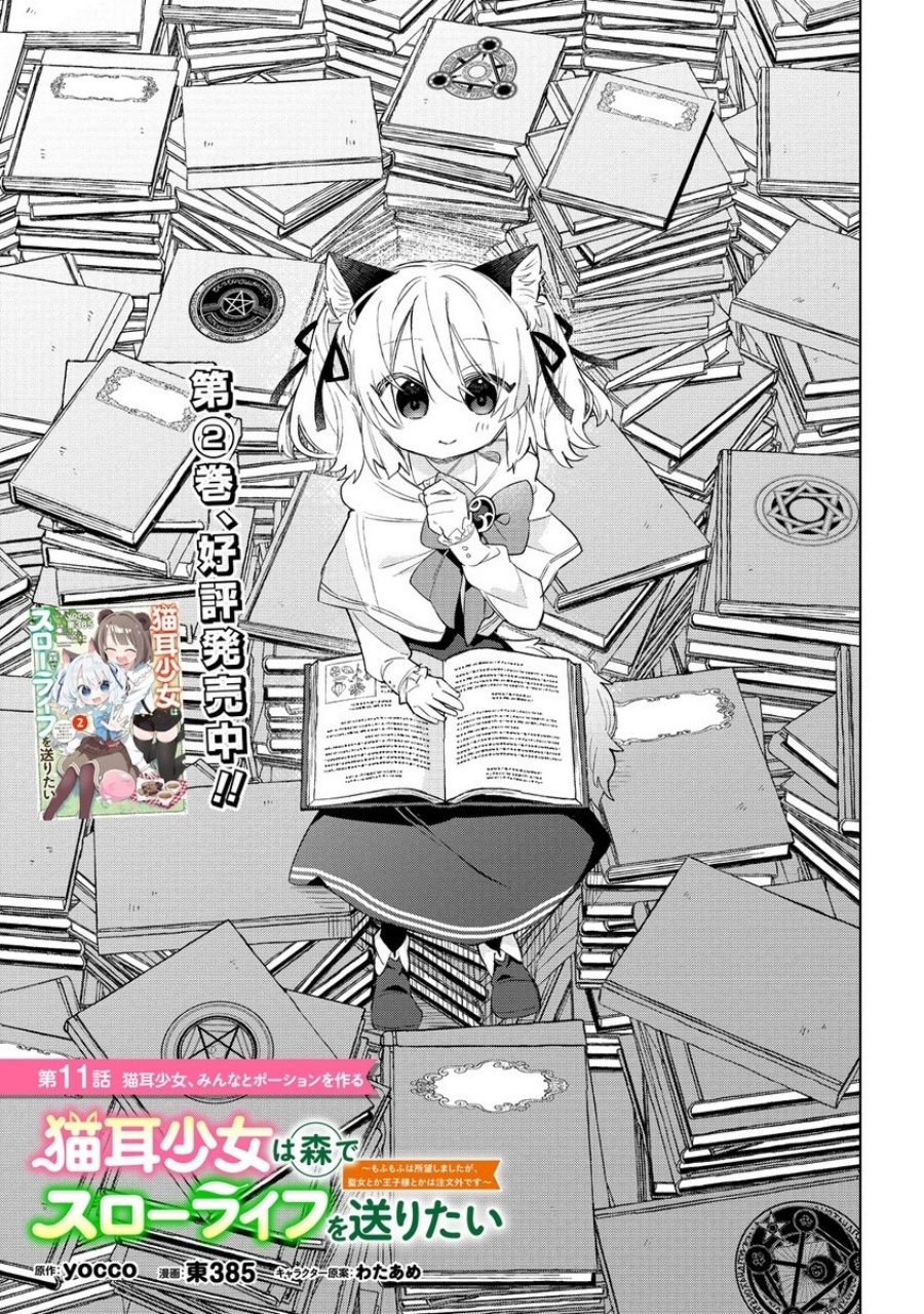 Nekomimi Shoujo wa Mori de Slow Life wo Okuritai: Mofumofu wa Shomou Shimashita ga, Seijo to ka Ouji-sama to ka wa Chuumongai desu chapter 11