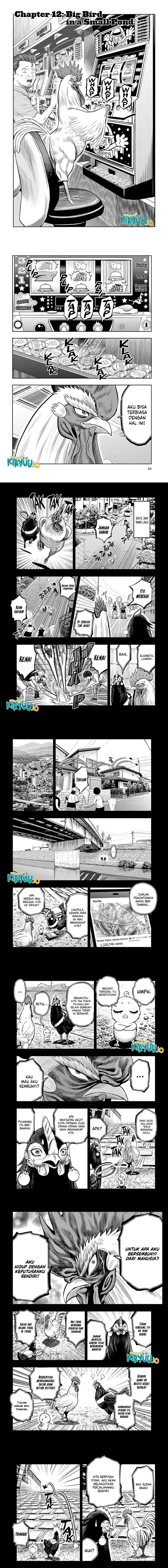 Dilarang COPAS - situs resmi www.mangacanblog.com - Komik rooster fighter 012 - chapter 12 13 Indonesia rooster fighter 012 - chapter 12 Terbaru 0|Baca Manga Komik Indonesia|Mangacan