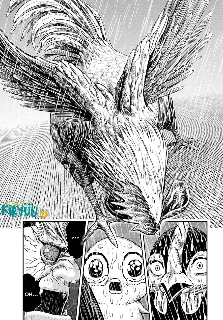Dilarang COPAS - situs resmi www.mangacanblog.com - Komik rooster fighter 014 - chapter 14 15 Indonesia rooster fighter 014 - chapter 14 Terbaru 31|Baca Manga Komik Indonesia|Mangacan