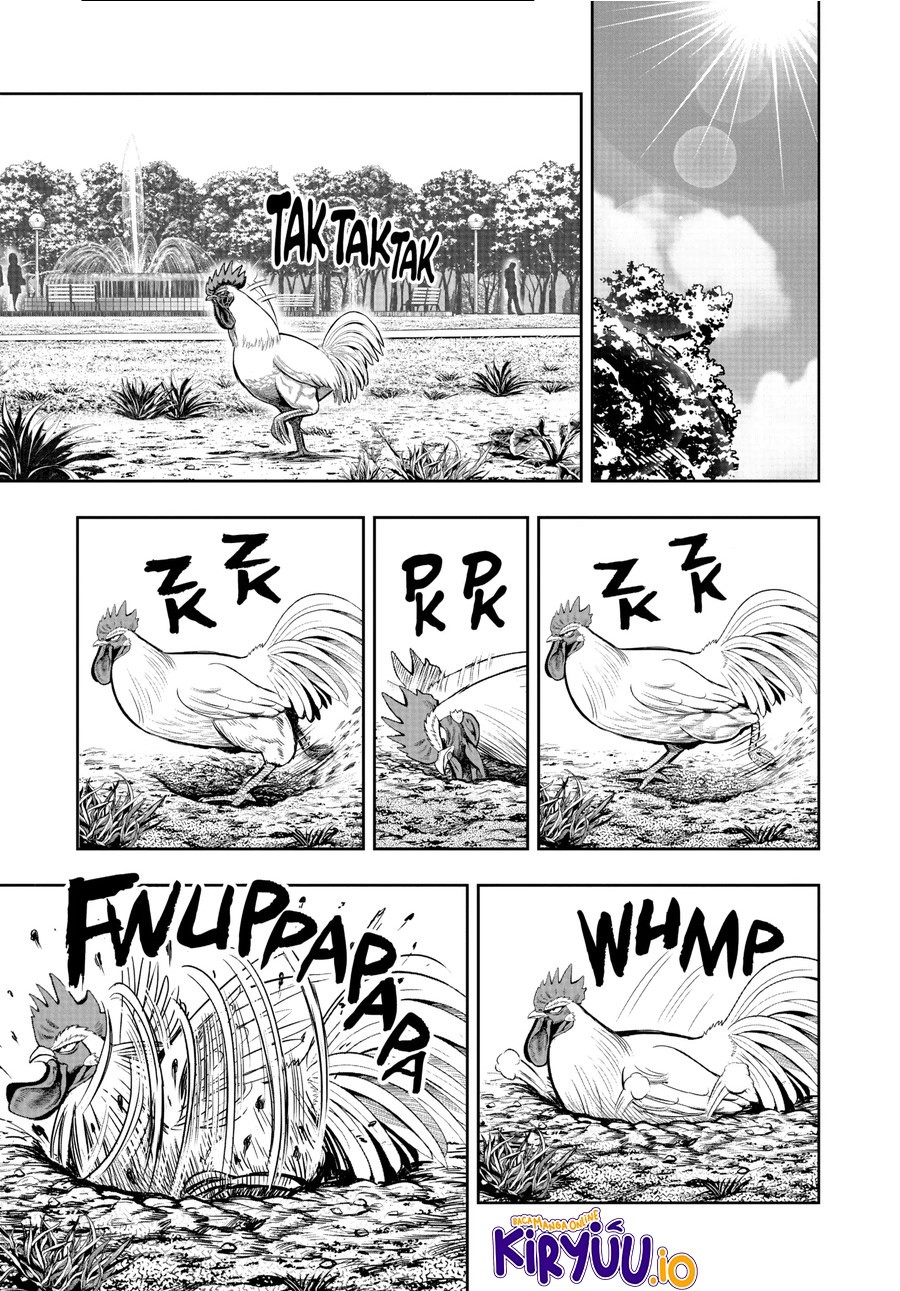 Rooster Fighter chapter 17