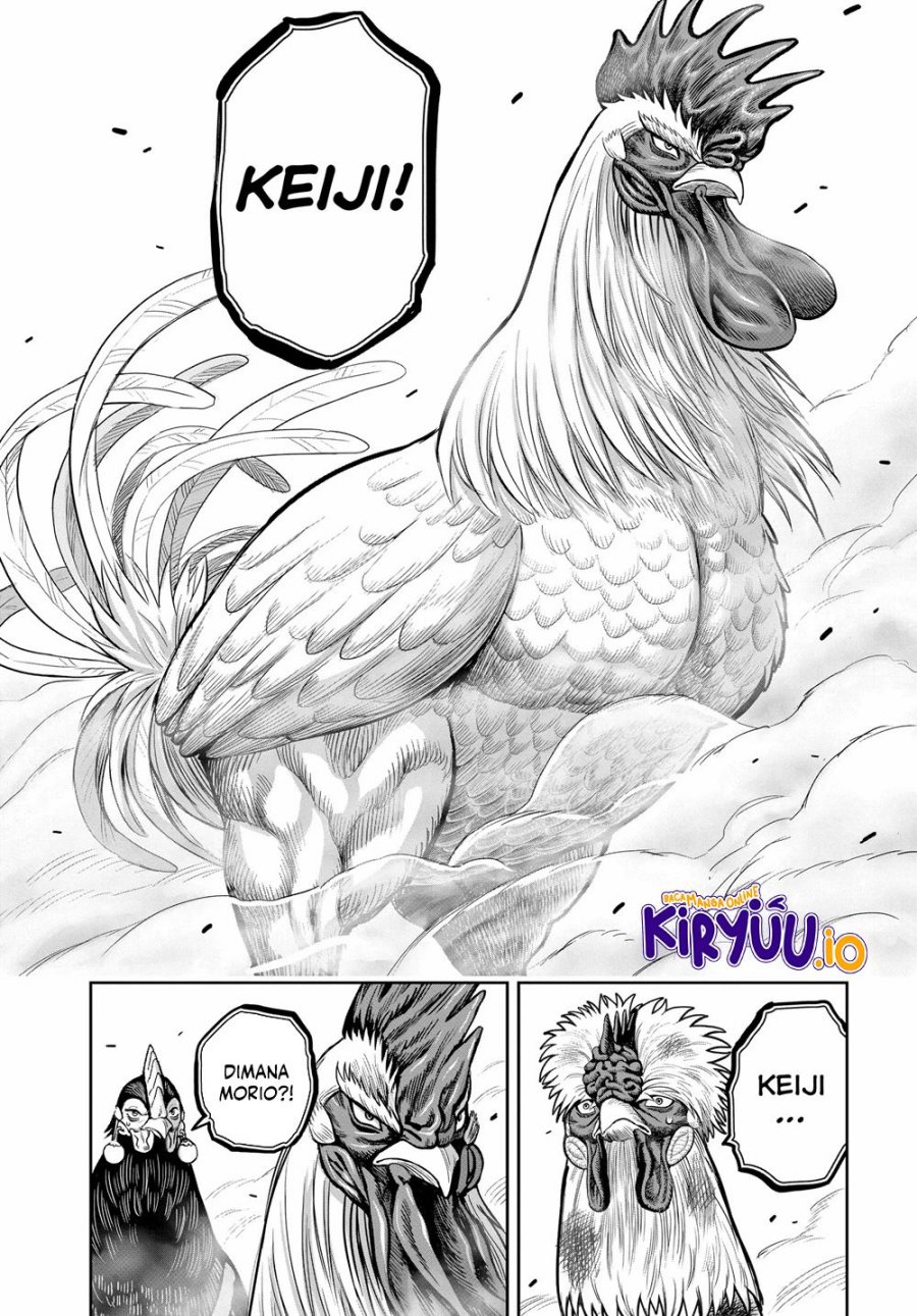 Niwatori Fighter (Rooster Fighter) Chapter 24 Bahasa Indonesia
