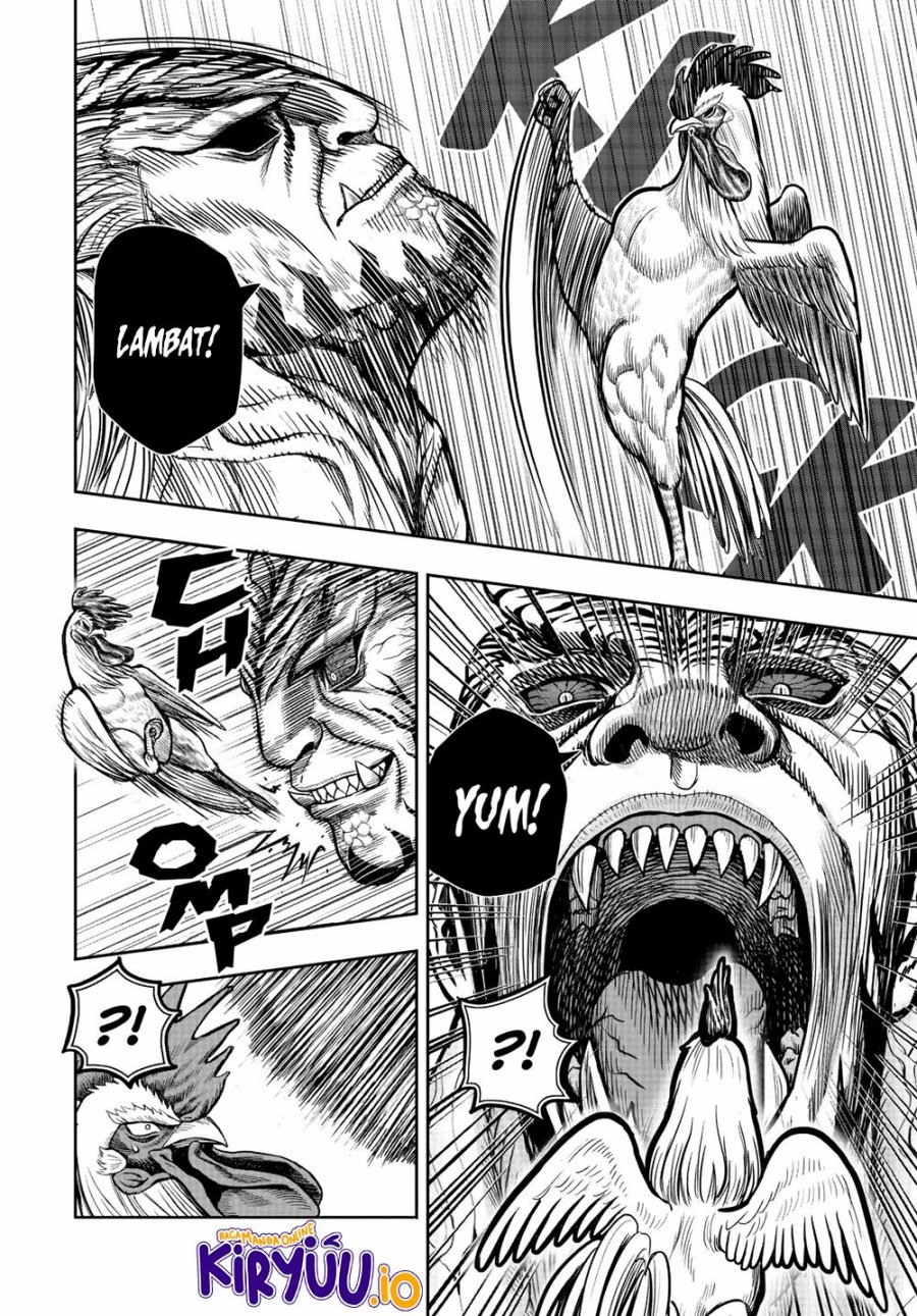 Niwatori Fighter (Rooster Fighter) Chapter 24 Bahasa Indonesia