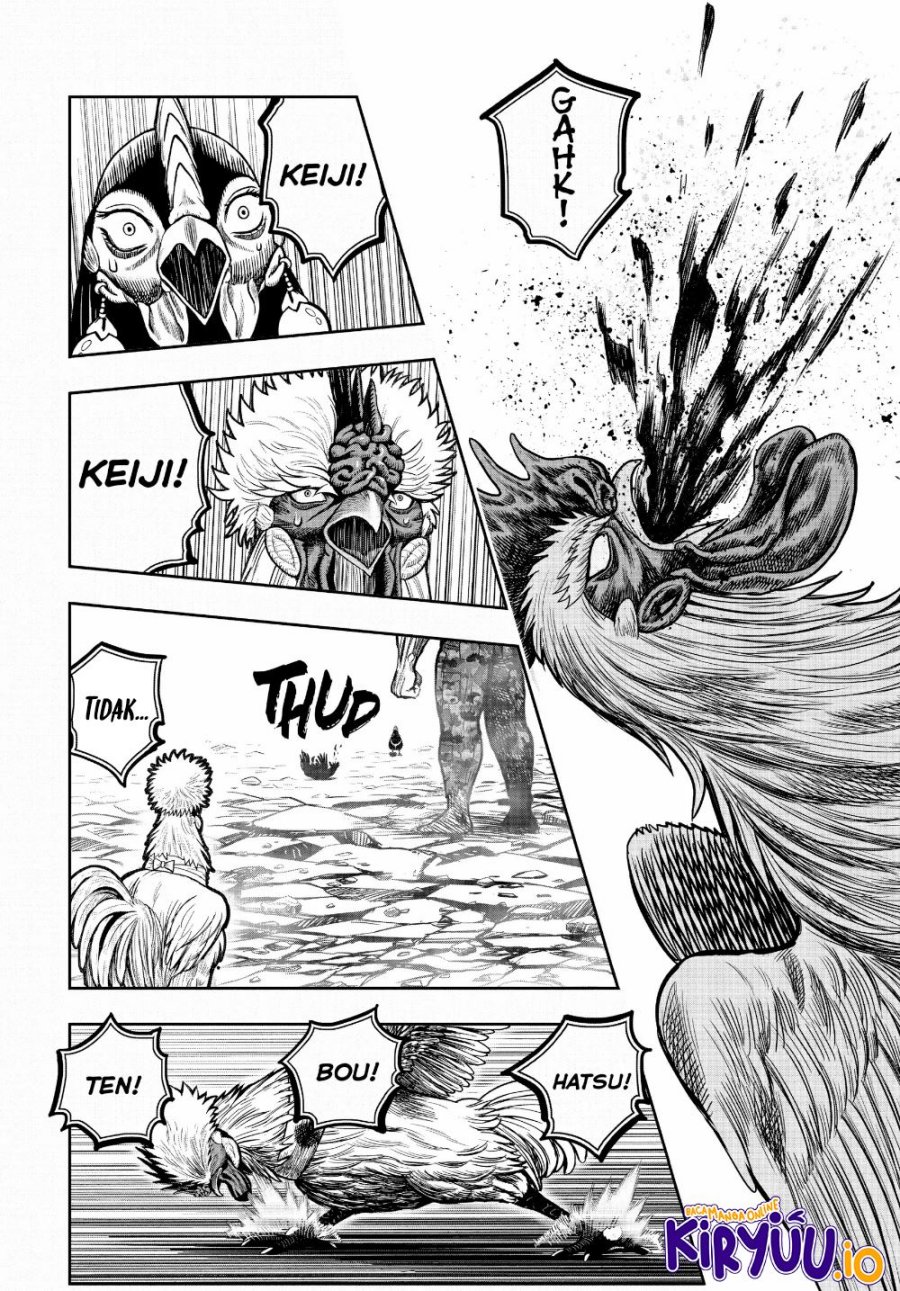 Niwatori Fighter (Rooster Fighter) Chapter 24 Bahasa Indonesia