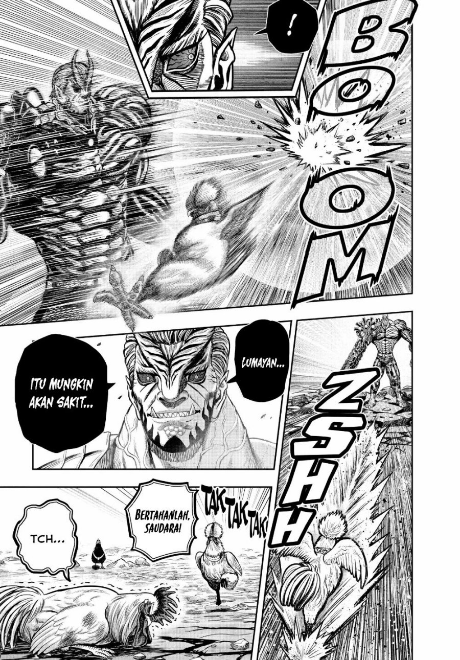 Niwatori Fighter (Rooster Fighter) Chapter 24 Bahasa Indonesia