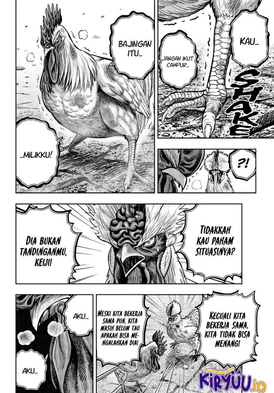 Niwatori Fighter (Rooster Fighter) Chapter 24 Bahasa Indonesia