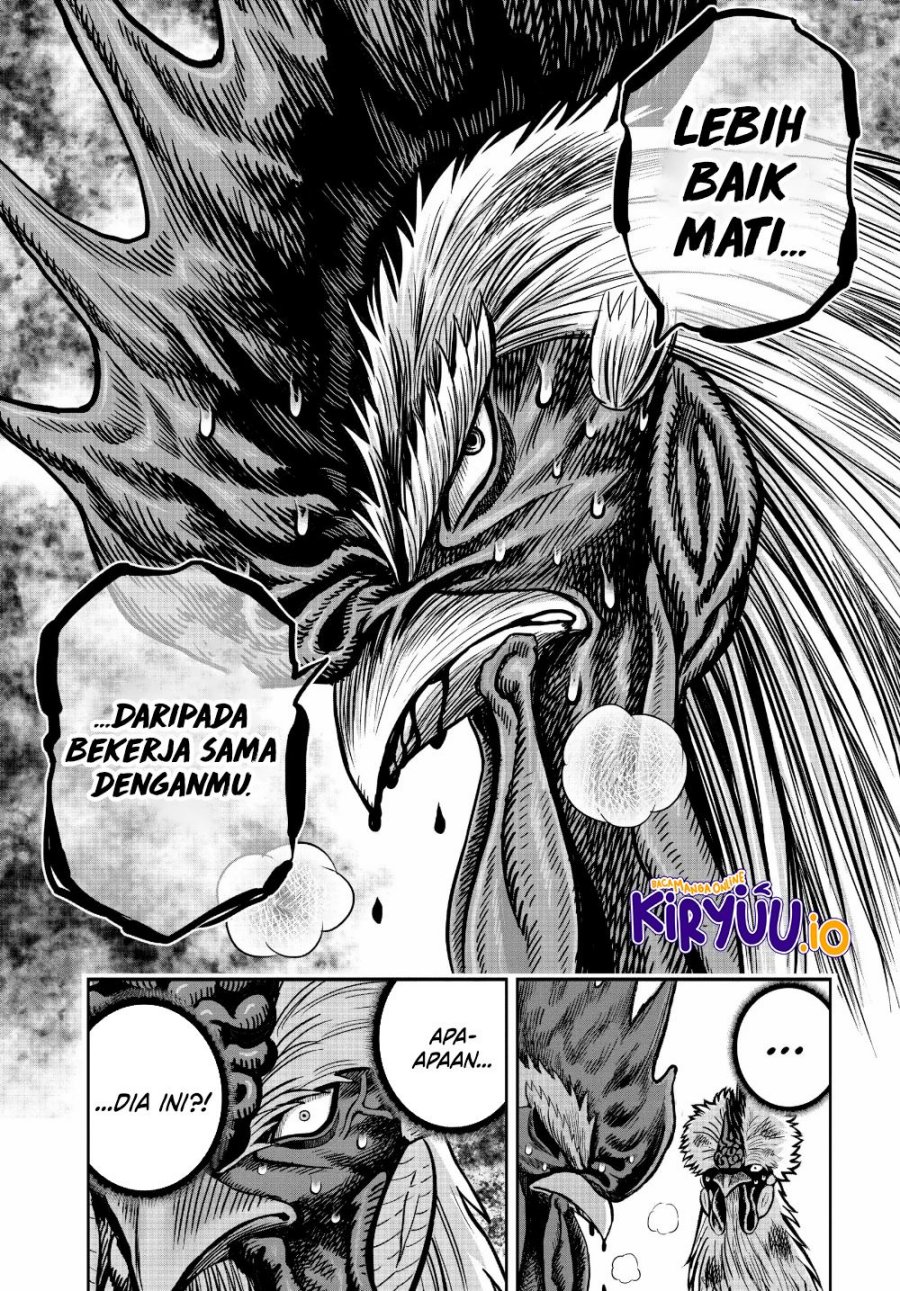 Niwatori Fighter (Rooster Fighter) Chapter 24 Bahasa Indonesia