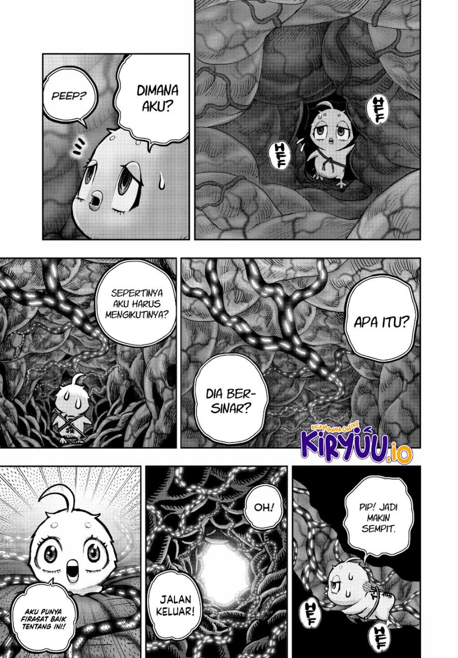 Niwatori Fighter (Rooster Fighter) Chapter 24 Bahasa Indonesia