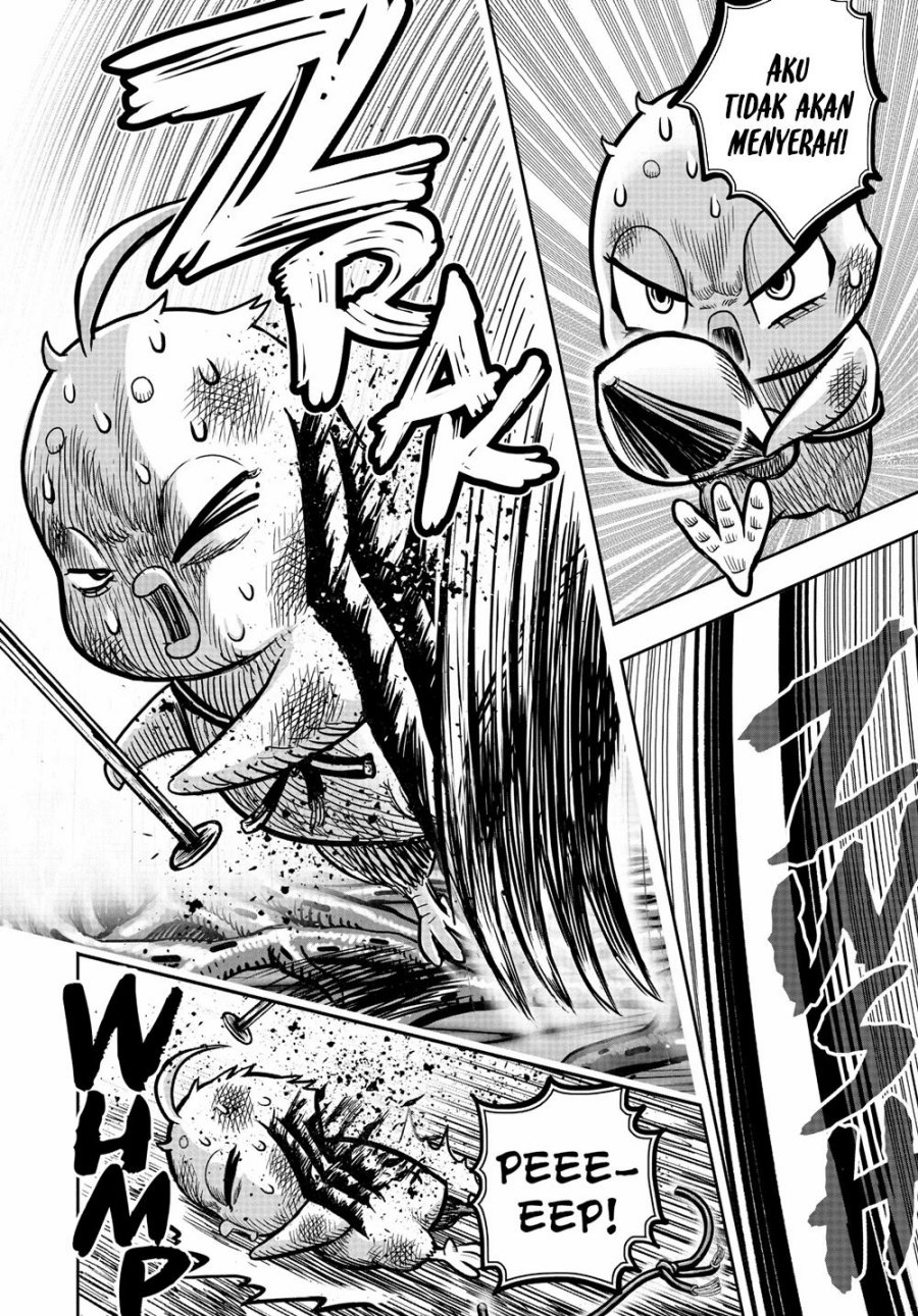 Niwatori Fighter (Rooster Fighter) Chapter 24 Bahasa Indonesia