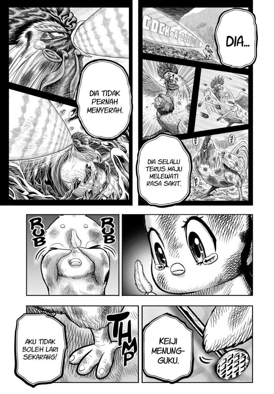 Niwatori Fighter (Rooster Fighter) Chapter 24 Bahasa Indonesia