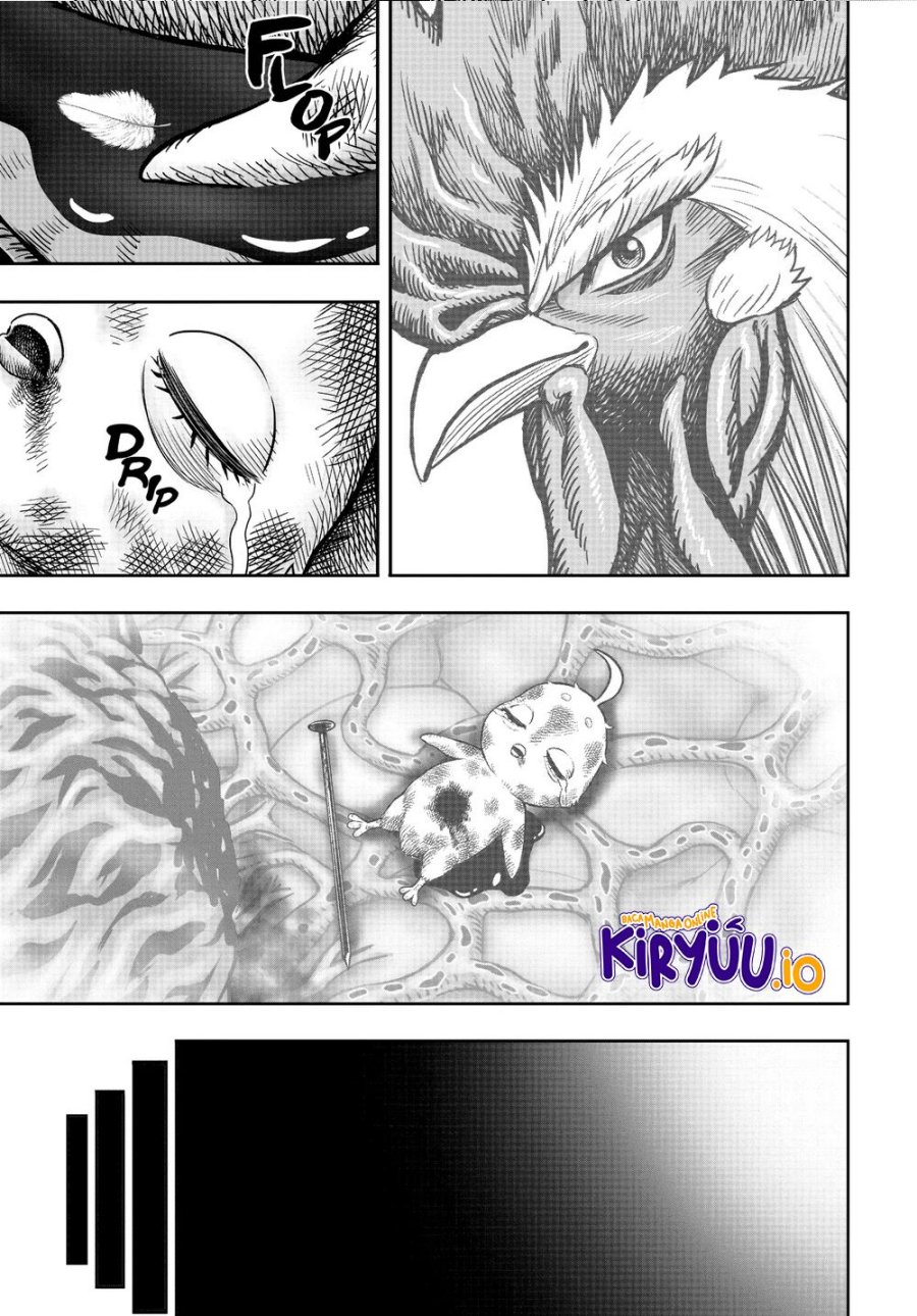 Niwatori Fighter (Rooster Fighter) Chapter 24 Bahasa Indonesia