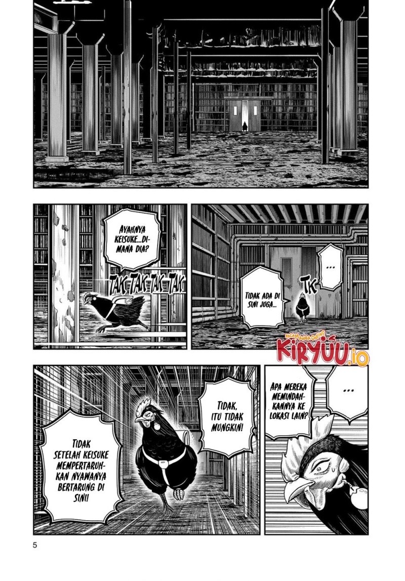 Niwatori Fighter (Rooster Fighter) Chapter 29 Bahasa Indonesia