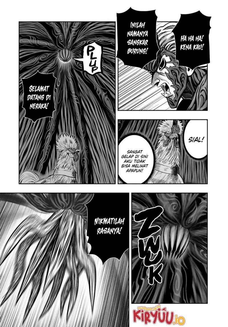 Niwatori Fighter (Rooster Fighter) Chapter 29 Bahasa Indonesia