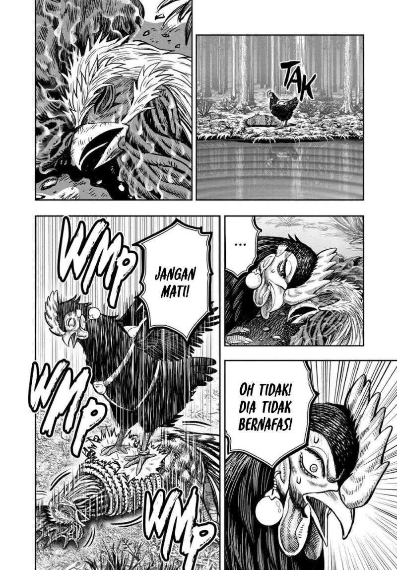 Niwatori Fighter (Rooster Fighter) Chapter 29 Bahasa Indonesia
