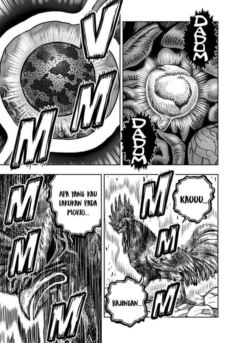 Niwatori Fighter (Rooster Fighter) Chapter 29 Bahasa Indonesia