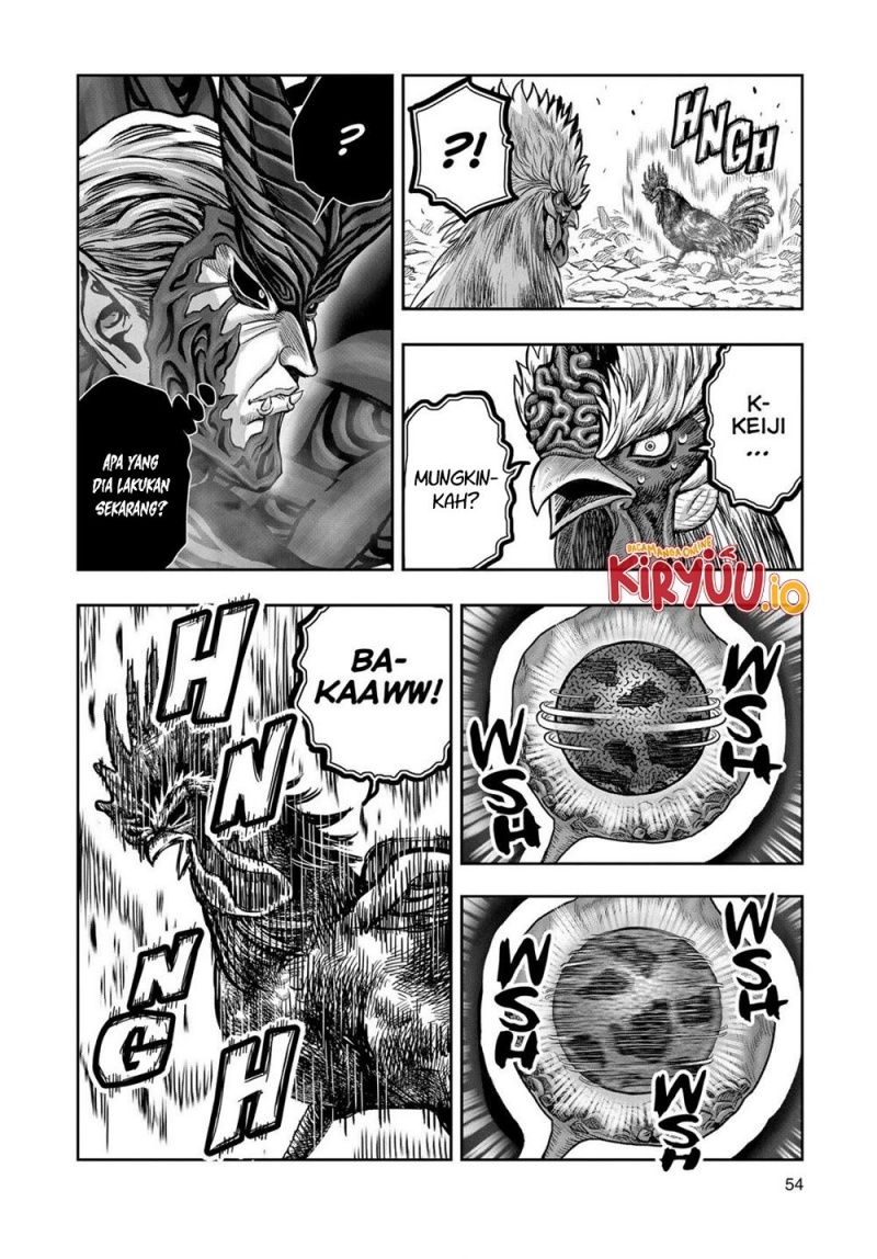 Niwatori Fighter (Rooster Fighter) Chapter 29 Bahasa Indonesia