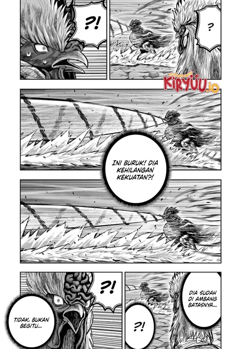 Niwatori Fighter (Rooster Fighter) Chapter 29 Bahasa Indonesia