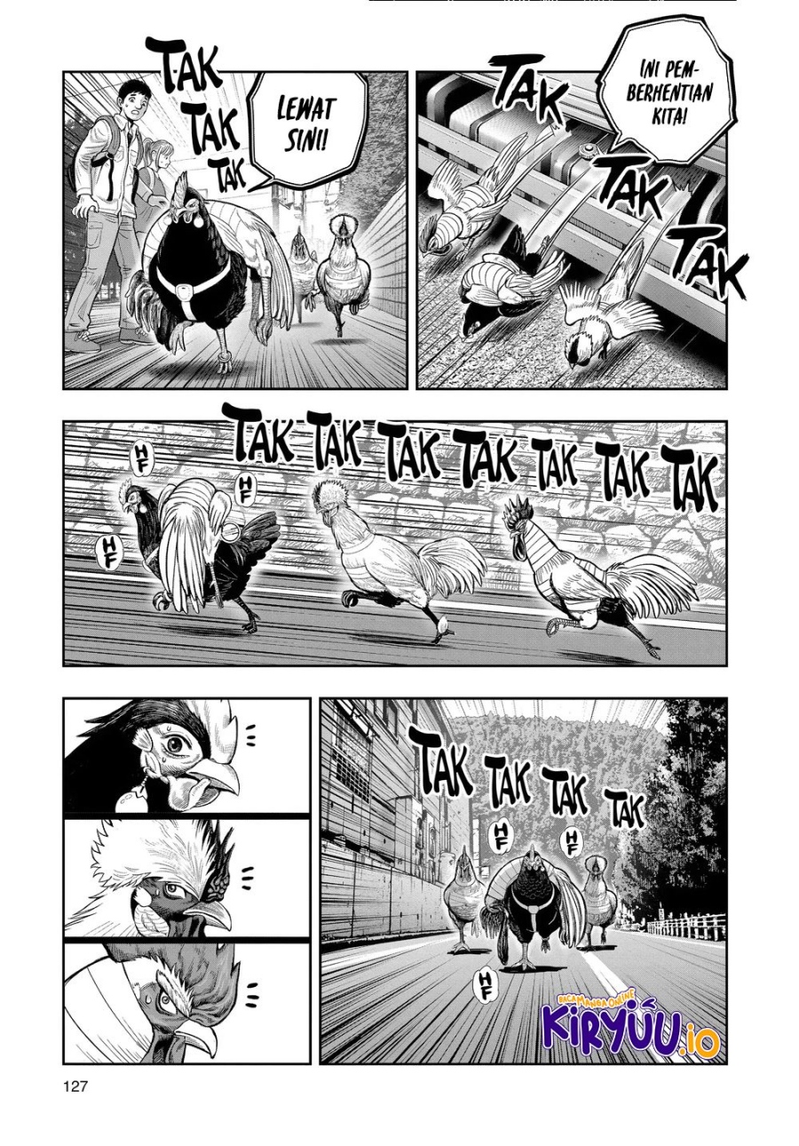 Dilarang COPAS - situs resmi www.mangacanblog.com - Komik rooster fighter 036 - chapter 36 37 Indonesia rooster fighter 036 - chapter 36 Terbaru 15|Baca Manga Komik Indonesia|Mangacan