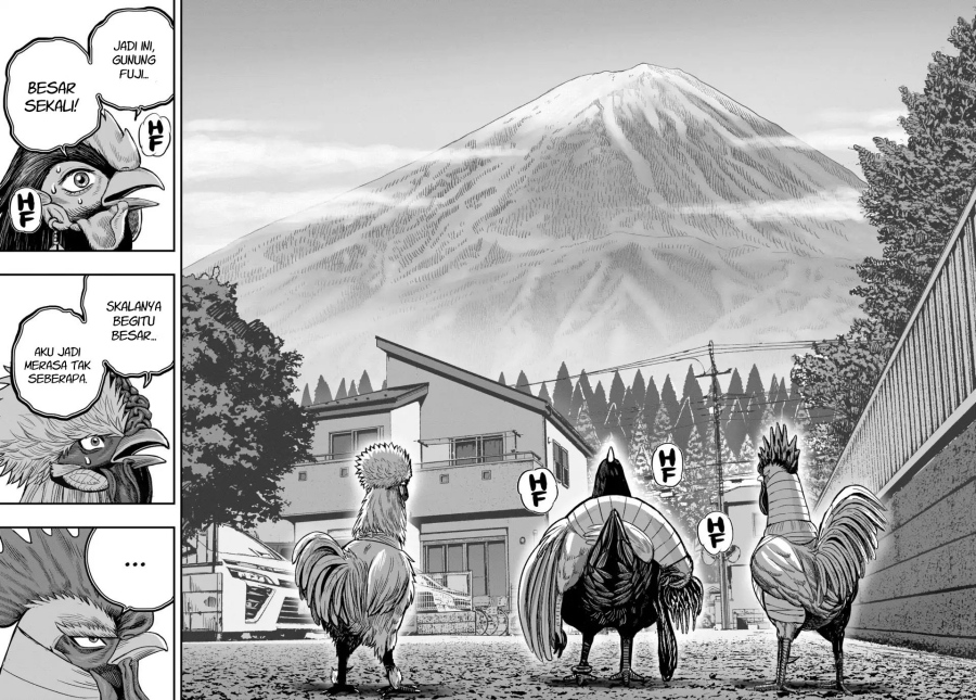 Dilarang COPAS - situs resmi www.mangacanblog.com - Komik rooster fighter 036 - chapter 36 37 Indonesia rooster fighter 036 - chapter 36 Terbaru 16|Baca Manga Komik Indonesia|Mangacan